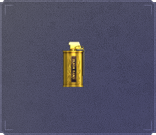 ʤ֮(30)